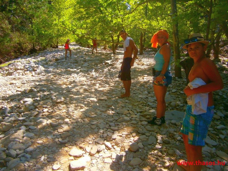 Az öreg falu, a vén platán és a folyók meséje